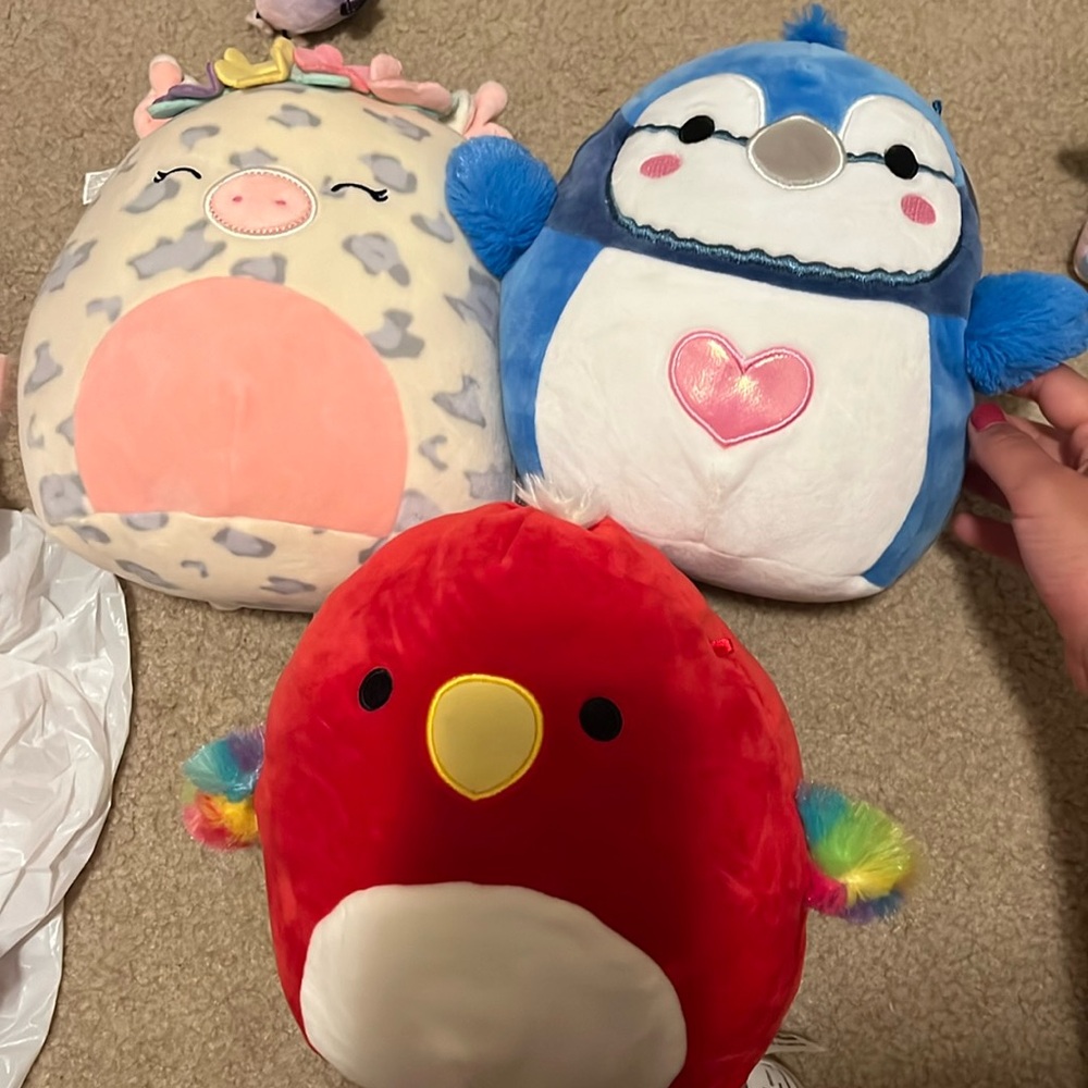Squishmallows bundle